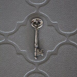 Silver skeleton key with heart.